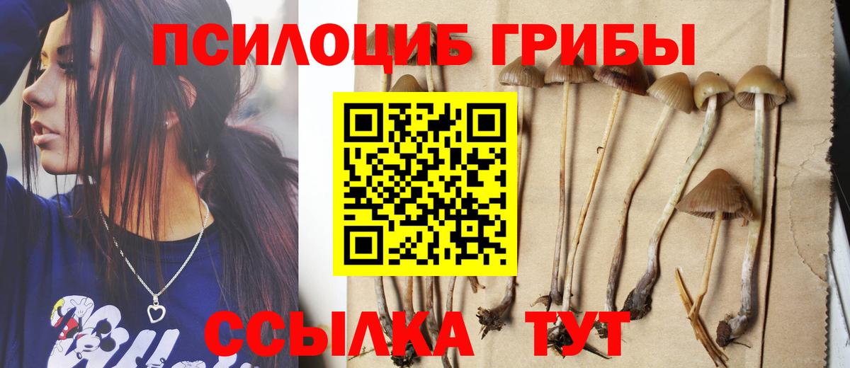 Борисоглебск  Псилоцибиновые грибы Cubensis  Псилоцибиновые грибы ЛСД  Вход с VPN 